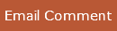 Email Comment