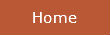 Home Button